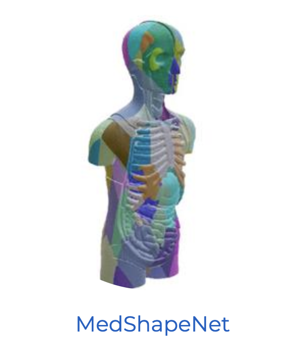medshapenet.png